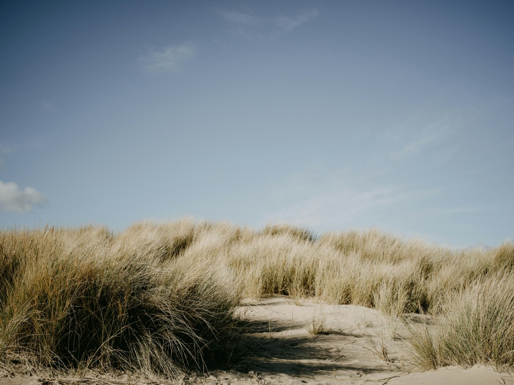 Studland, Dorset: The Hamptons of England?